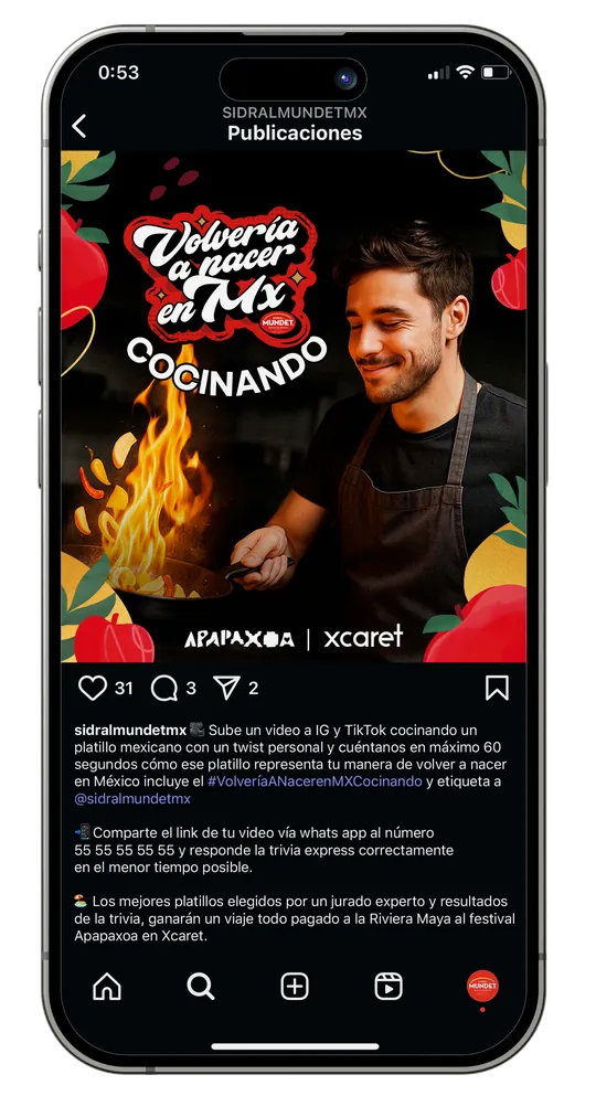 Campaña 2025 en Instagram